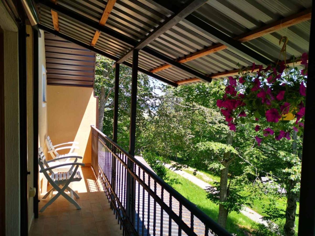 Gorska Vila Apartments Žabljak Esterno foto