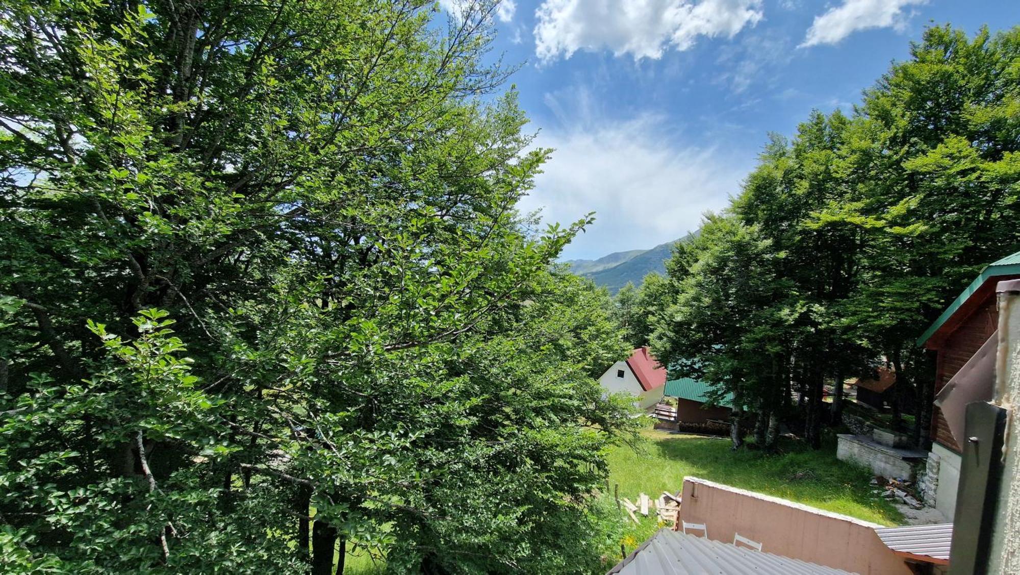 Gorska Vila Apartments Žabljak Camera foto