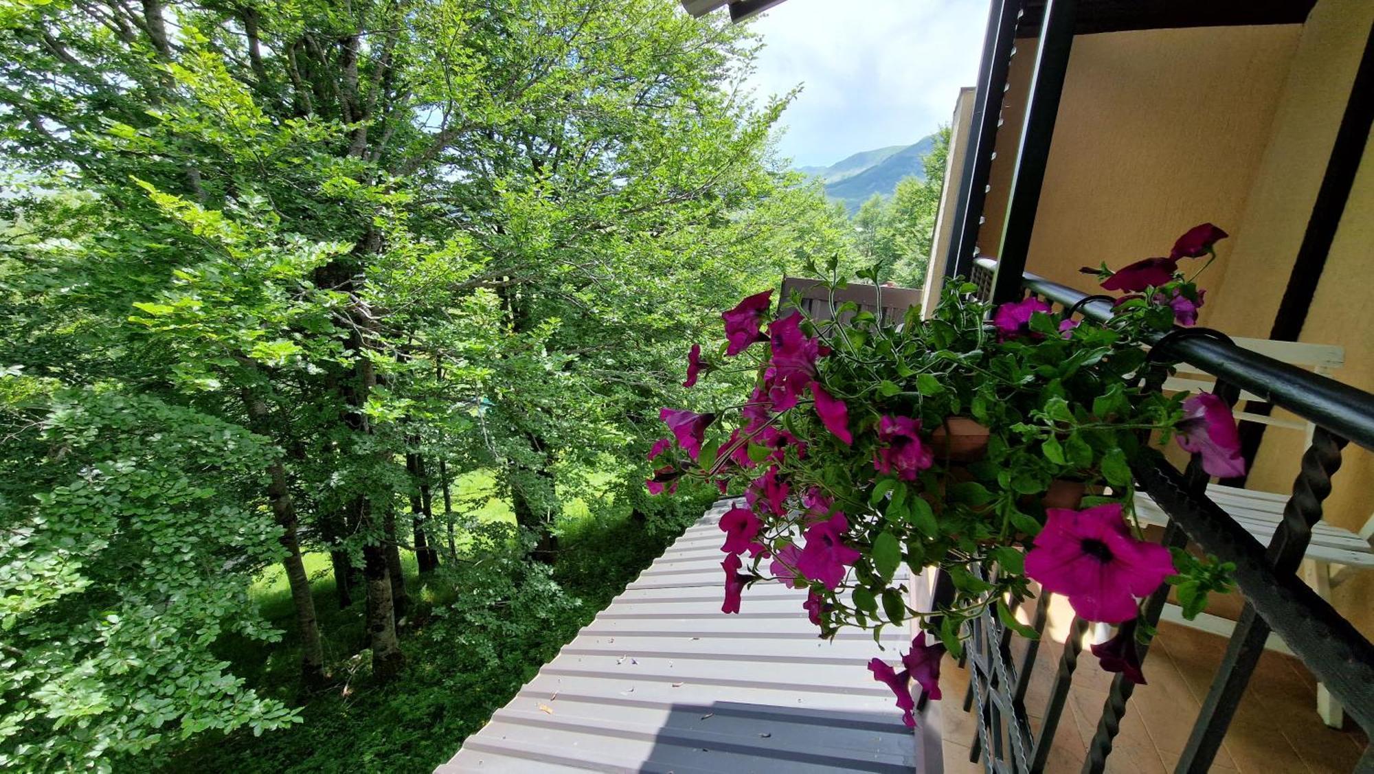 Gorska Vila Apartments Žabljak Camera foto